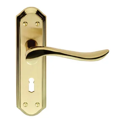 PAIR Curved Lever on Sculpted Edge Backplate x 48mm Satin/Polished Brass