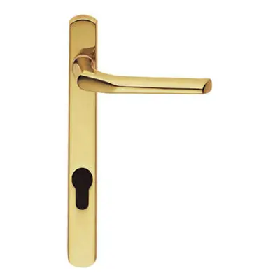 Straight Lever Door Handle on Lock Backplate Polished Brass 208mm X 25mm