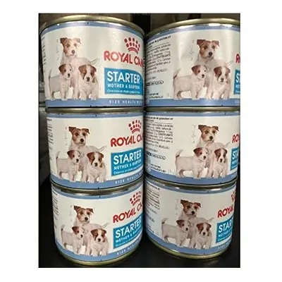 ROYAL CANIN Starter Mousse, Mother & Babydog Dog Food Cans X 195g and Little Gift