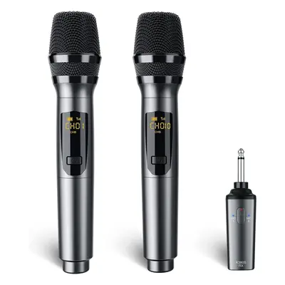 LEKATO Store Rechargeable Wireless Microphone 2.4GHz Dual Handheld Singing Micro