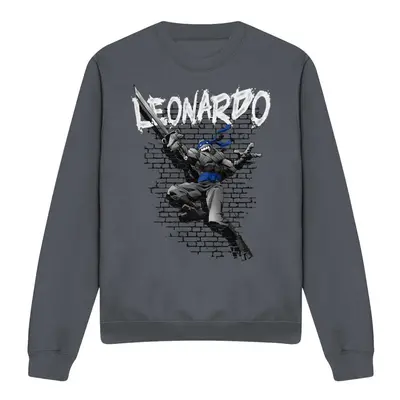 (XXL, Charcoal) Teenage Mutant Ninja Turtles Unisex Adult Leonardo Sweatshirt