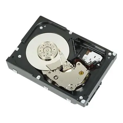 2TB NL6 7.2K 3.5 Inch