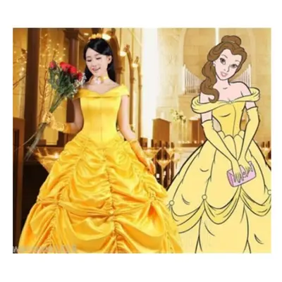 ( 3XL) Adult Belle Cosplay Costume Beauty and The Beast Princess Ball Gown Fancy