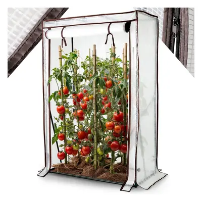 AREBOS tomato greenhouse film greenhouse | greenhouse small | tomato house, greenhouse with roll