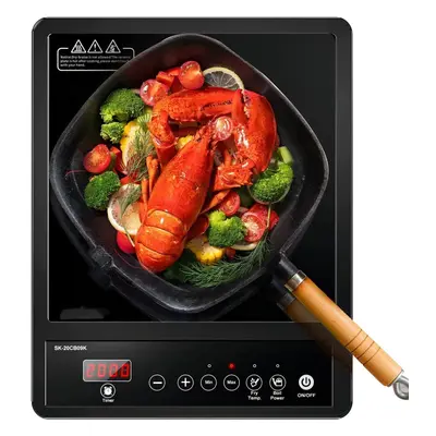 (Regular) Single Induction Hob, Portable Induction Hob, Temperature Settings and Power levels fr