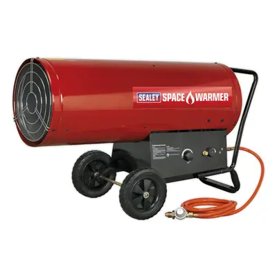 Space Warmer Propane Heater - to Btu/hr - Gas Regulator & Hose