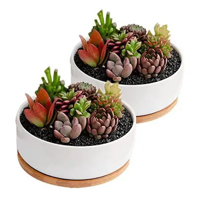 Plant Flower Pots Indoor, 2-pack Set Ceramic Flower Pots Planter, white Ceramic Plant Pot Small 