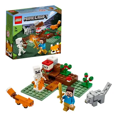 DISCO - LEGO Minecraft The Taiga Adventure ***2020*** (JANUARY)