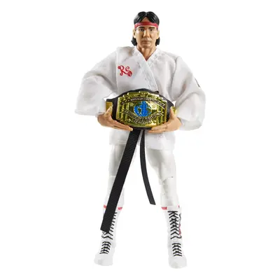 WWE Seth Rollins Fan TakeOver 6-in Elite Action Figure with Fan-voted Gear & Accessories 6-in Po