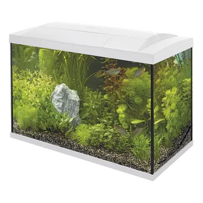 (70 White) Superfish Start Tropical Aquarium Kit 50 100 Black White LED Fish Tank