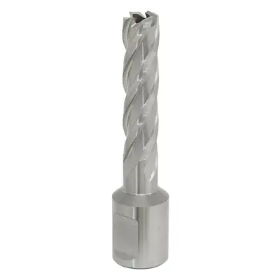 12mm x 50mm Depth Rotabor Cutter - M2 Steel Annular Metal Core Drill 19mm Shank