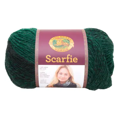 Lion Brand Scarfie Yarn-Forest/Black