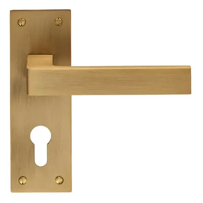 PAIR Straight Square Handle on Euro Lock Backplate x 50mm Antique Brass