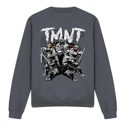 (XL, Charcoal) Teenage Mutant Ninja Turtles Unisex Adult TMNT Team Sweatshirt