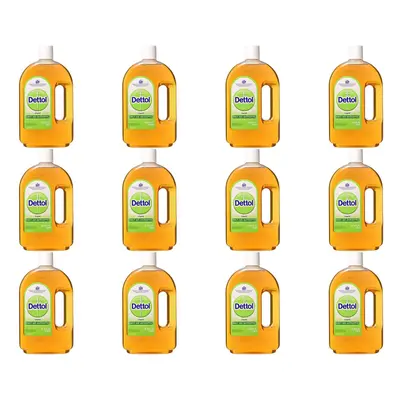 Dettol Antiseptic Disinfectant Liquid 750ml (Pack of 12)