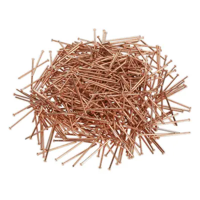 500 PACK - 2mm x 50mm Stud Welding Nails - Car Dent Copper Pulling Spot Pins