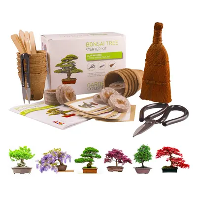 Bonsai Tree KIT - Grow Your OWN Bonsai Trees from Seeds - Gardening Gift Set - Premium Quality K