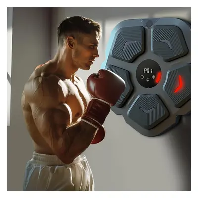 Music Boxing Machine with Gloves Home Wall Mount Target Punching Pads Adult