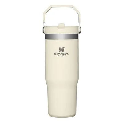 STANLEY IceFlow Stainless Steel Tumbler with Straw Vacuum Insulated Water Bottle for Home Office