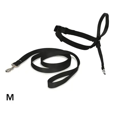 PetSafe Easy Walk Headcollar & 1.8m Lead for Medium Dogs No Pull Training, Black