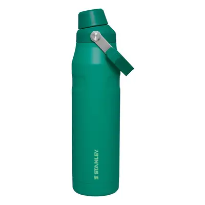 Stanley IceFlow Fast Flow Water Bottle OZ Angled Spout Lid Lightweight Leakproof for Travel Gym 