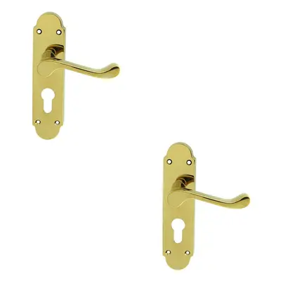 2x PAIR Victorian Upturned Lever on Euro Lock Backplate x Polished Brass