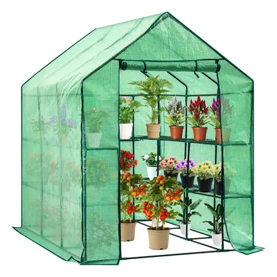 Walk in Garden Greenhouse Grow House with Shelves x x 195cm