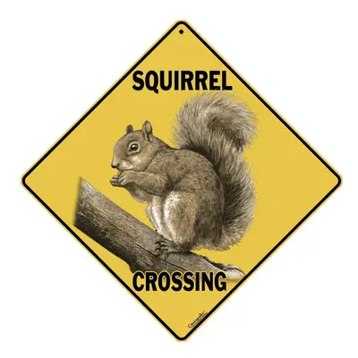 CROSSWALKS Squirrel Crossing 12" X 12" Aluminum Sign (X315)