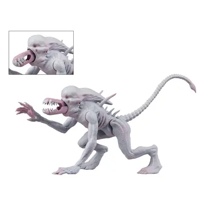 NECA Alien Classics - 5.5 Action Figures - Neomorph