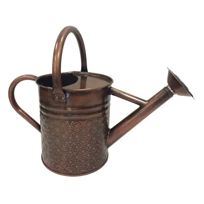 Gardener Select W8105QDF Metal Watering Can Modern Indoor Outdoor Watering Pot with Handles for 