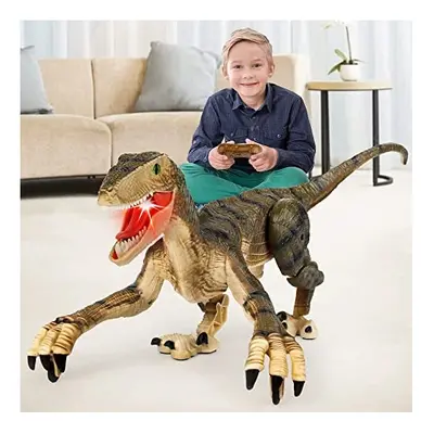 Remote Control Dinosaur Toys,Electronic Walking Toys with LED Light Up&Realistic Simulation Soun