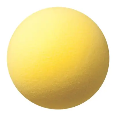 Champion Sports Uncoated Regular Density Foam Ball (7-Inch)