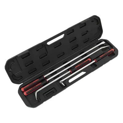 4 Piece Heavy Duty Pry Bar Set - Hammer Cap - Soft Grip Handles - Storage Case