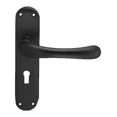 PAIR Smooth Rounded Handle on Shaped Lock Backplate x 42mm Matt Black