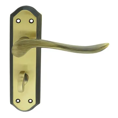 PAIR Curved Lever on Sculpted Bathroom Backplate x 48mm Florentine Bronze