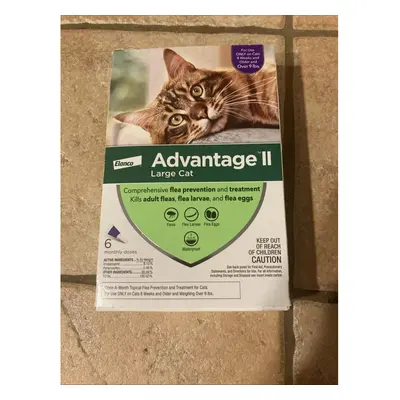 Elanco Advantage II Flea Control for Large Cats Over lbs - Monthly Doses