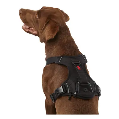 KONG Ultra Durable Waste Bag Harness (Medium Black)