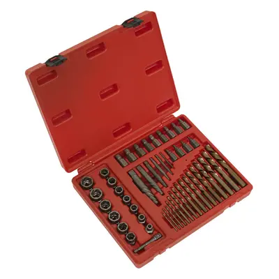 49 Piece Master Extractor Set - Screw Bolt & Nut Extraction - Storage Case