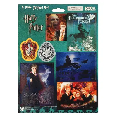 Harry Potter Piece Magnet Set