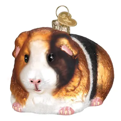 Old World Christmas Guinea Pig