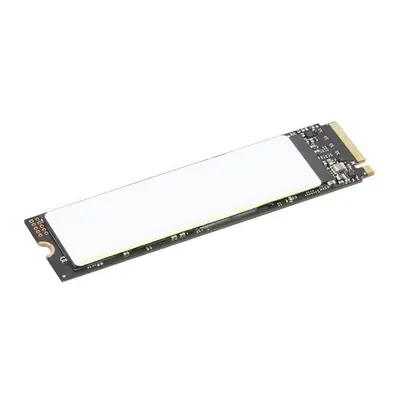 TP 1TB SSD PERFORM PCIE G4