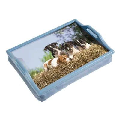 Laminated Wooden Lap Tray with Built in Cushion - x x 300mm - Dog Design