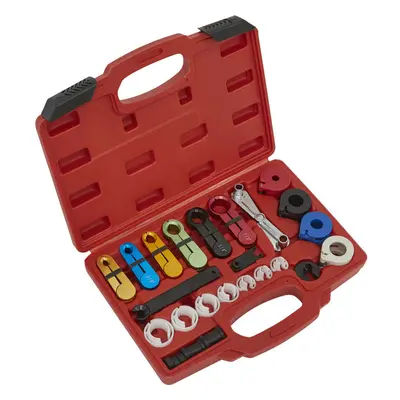 21 Piece Fuel & Air Conditioning Disconnection Tool Kit - Air Hose & Fuel Lines