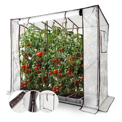 AREBOS tomato greenhouse film greenhouse | greenhouse small | tomato house, greenhouse with roll