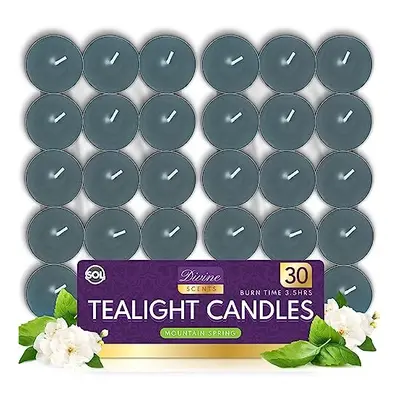 30pk Mountain Spring Tea Lights| Scented Tea Lights | Tea Light Candle | Scented Tealight Candle