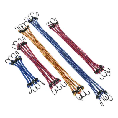 20 Piece Elasticated Bungee Cord Set - Assorted Sizes - Different Lengths