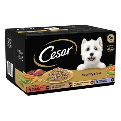 Cesar Country Stew - Wet Dog Food for Adult Dogs 1+ Special Selection, Trays (24 x g)