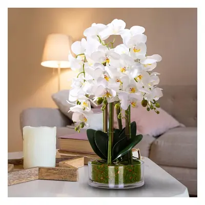 (White) Artificial white orchid butterfly flower in vase with real touch