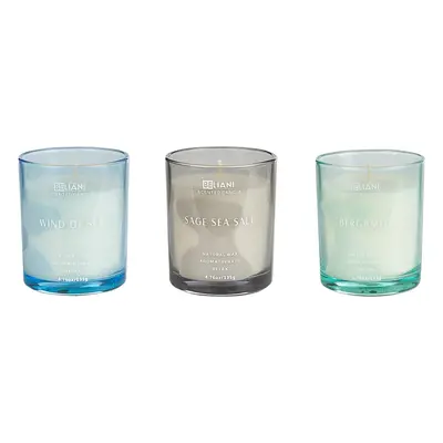 Set of Scented Candles SHEER JOY Soy Wax Fresh Notes