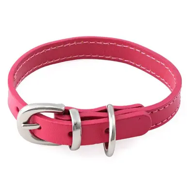 Cat or Dog Small Leather Collar